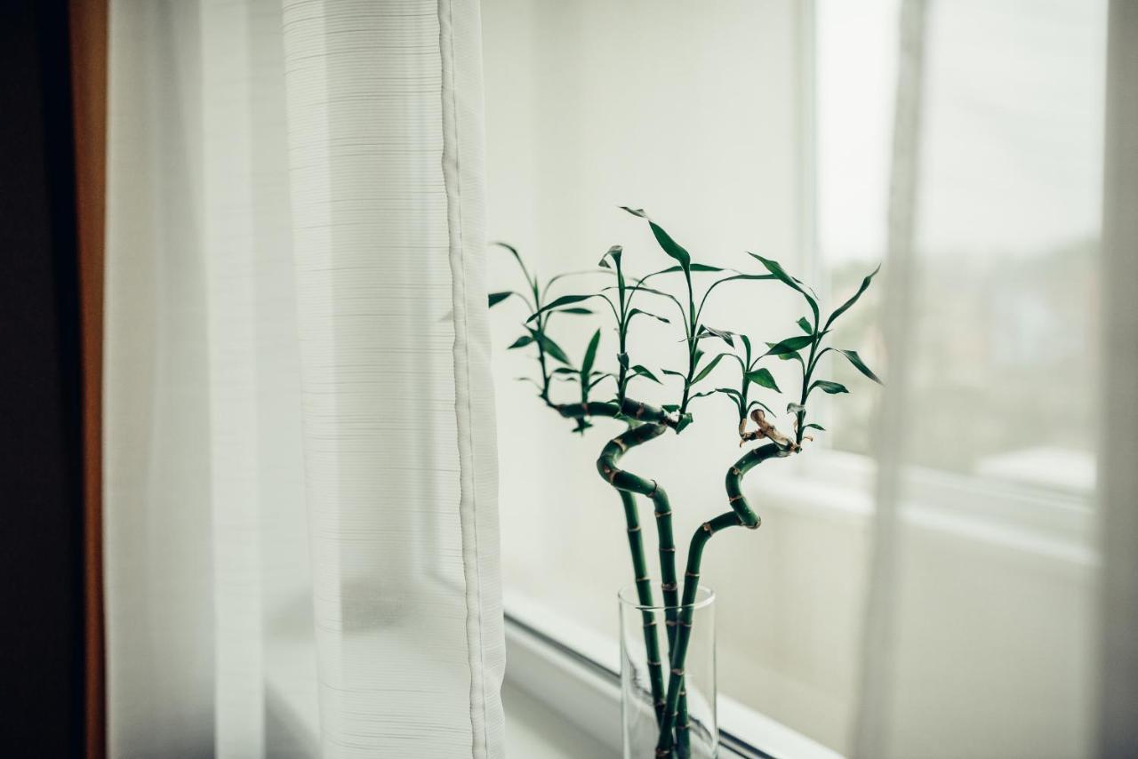 Pine Apartment Visaginas Ngoại thất bức ảnh