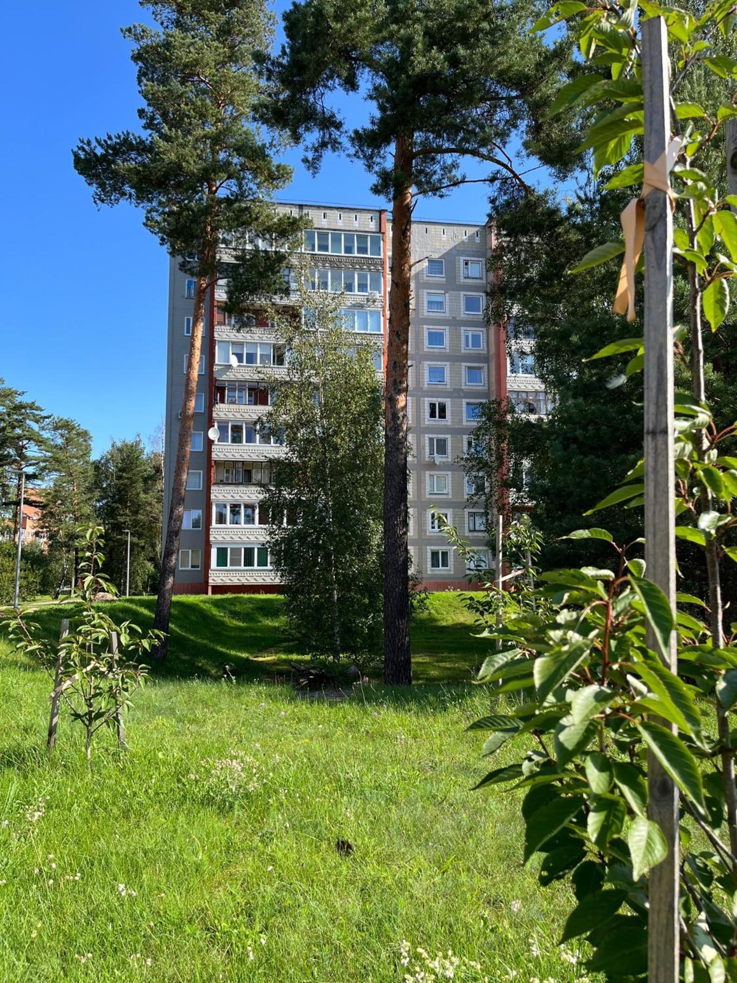 Pine Apartment Visaginas Ngoại thất bức ảnh