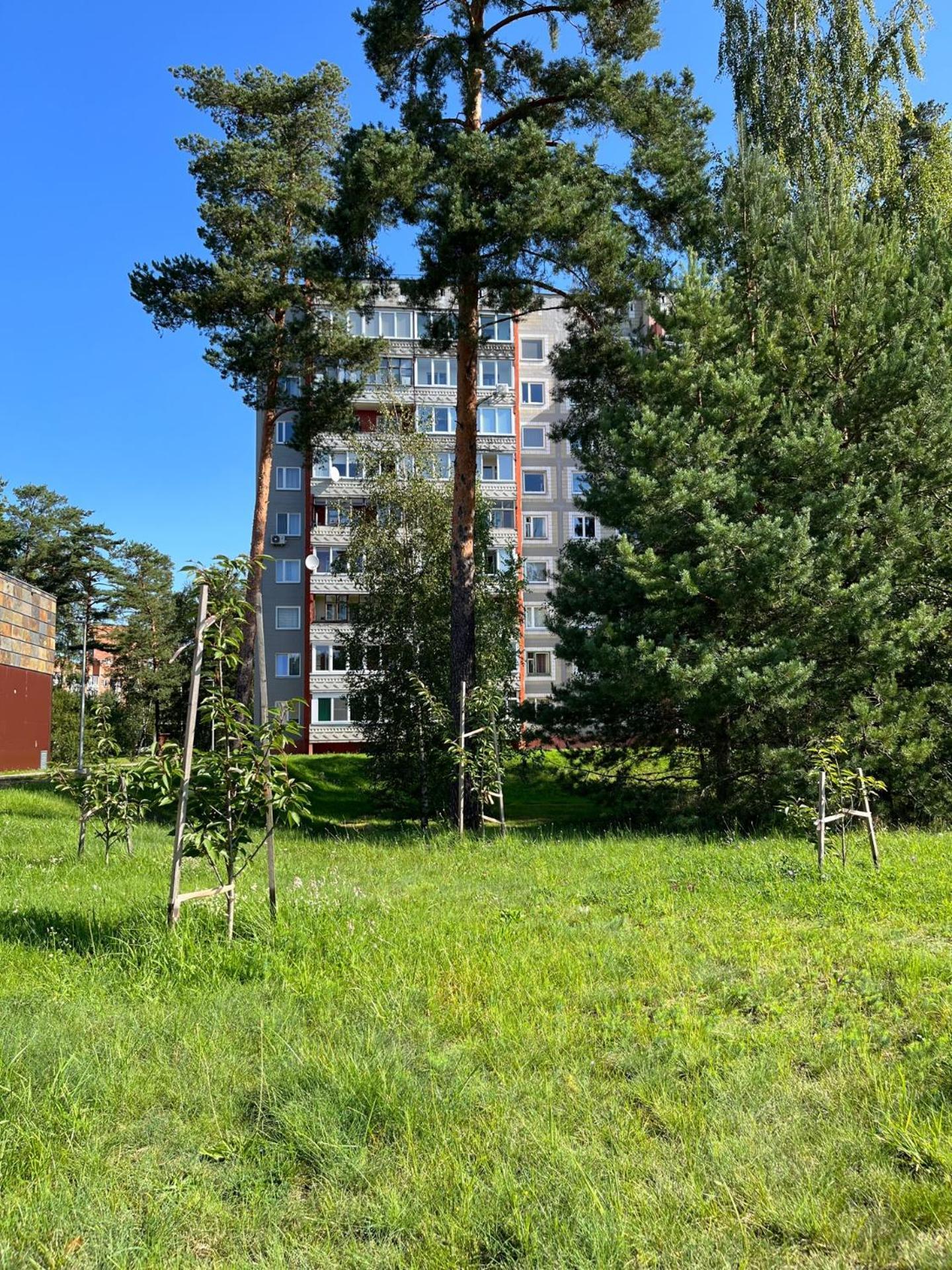 Pine Apartment Visaginas Ngoại thất bức ảnh